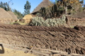 Etiopia. Tucul.